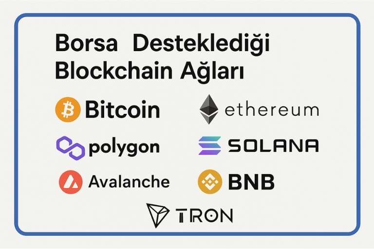 Borsa Desteklediği Blockchain Ağları