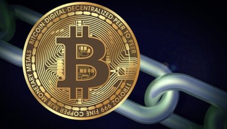 DeFi Sigorta Protokollerinin Risk Analizi